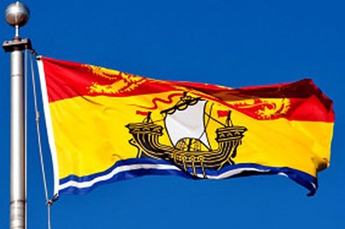 3x5 ft New Brunswick Canada Flag Premium Quality USA Seller