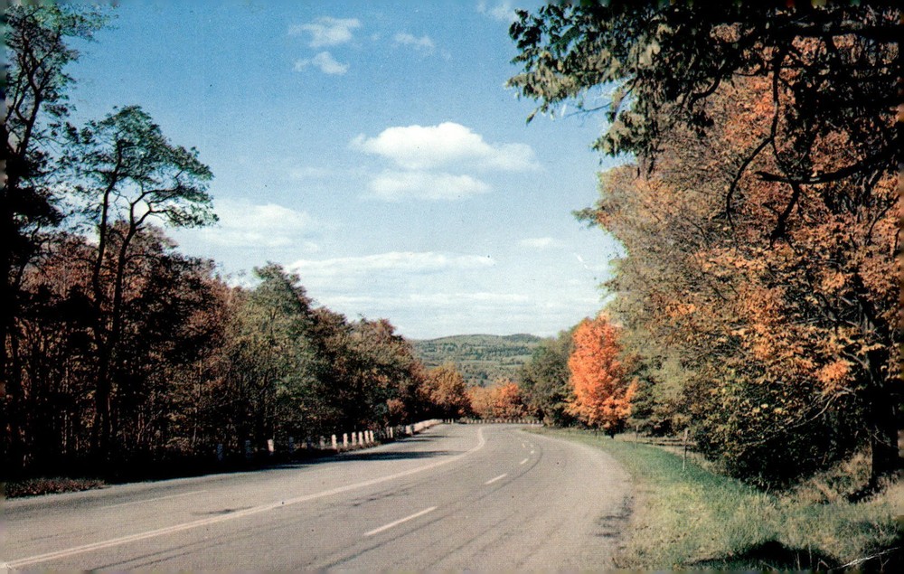 1960 Mohawk Trail North Adams MA Autumn Fall Foliage Plastichrome Postcard