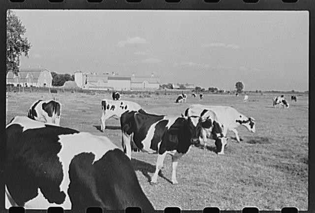 Fond du Lac County,Wisconsin,WI,Farm Security Administration,FSA,1941,5