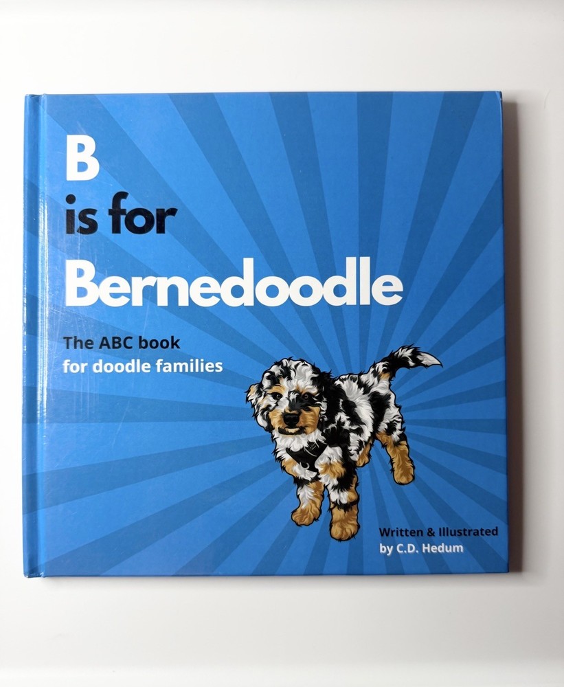 B Is For Bernedoodle