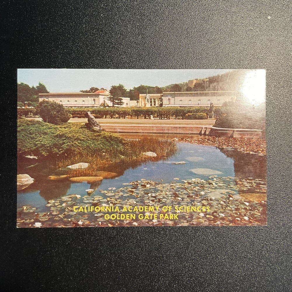 San Francisco California Academy of Sciences Golden Gate Park Postcard-image