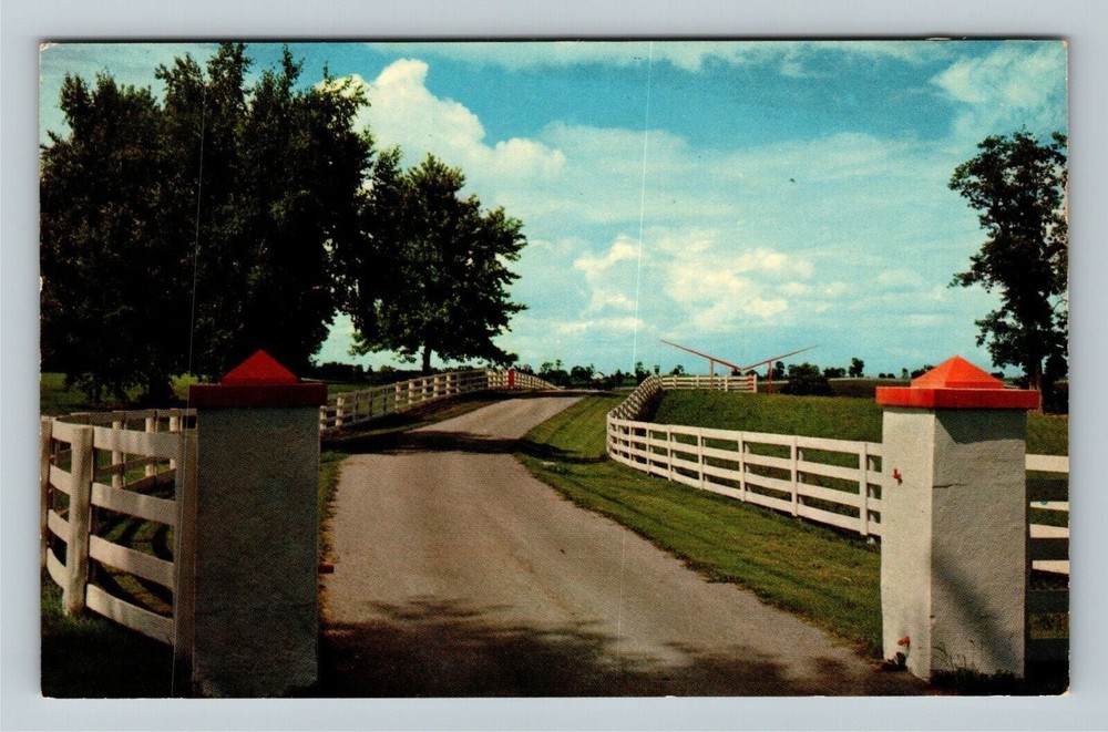 Lexington KY-Kentucky, Calumet Farm Vintage Souvenir Postcard