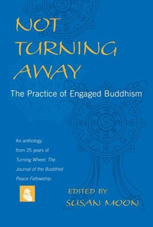 Not Turning Away: A Guide to Engaged Buddhism Practice