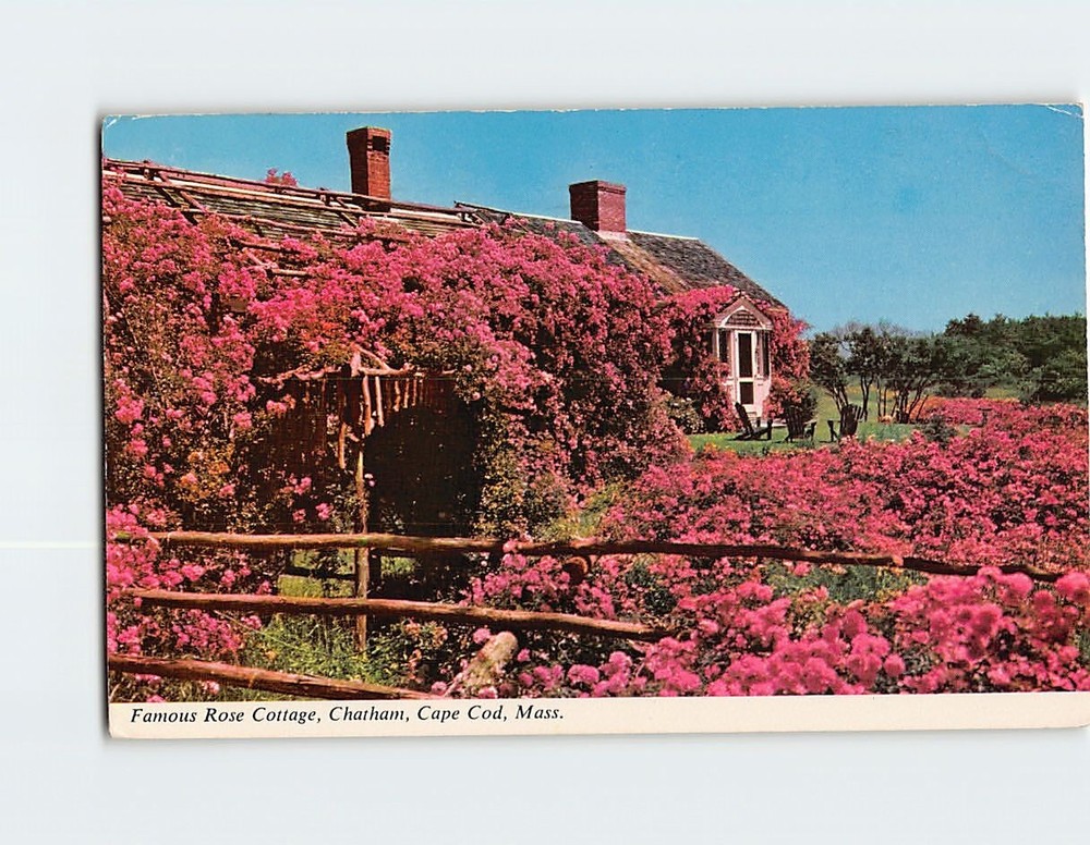 Postcard Famous Rose Cottage Chatham Massachusetts USA