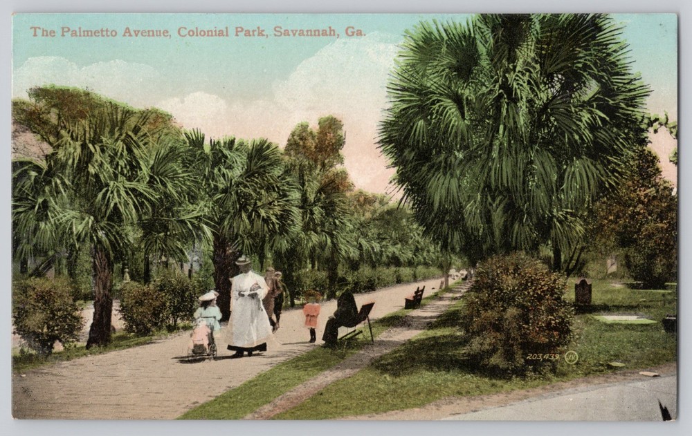 Savannah Georgia GA Palmetto Avenue in Colonial Park c1910 Antique Postcard
