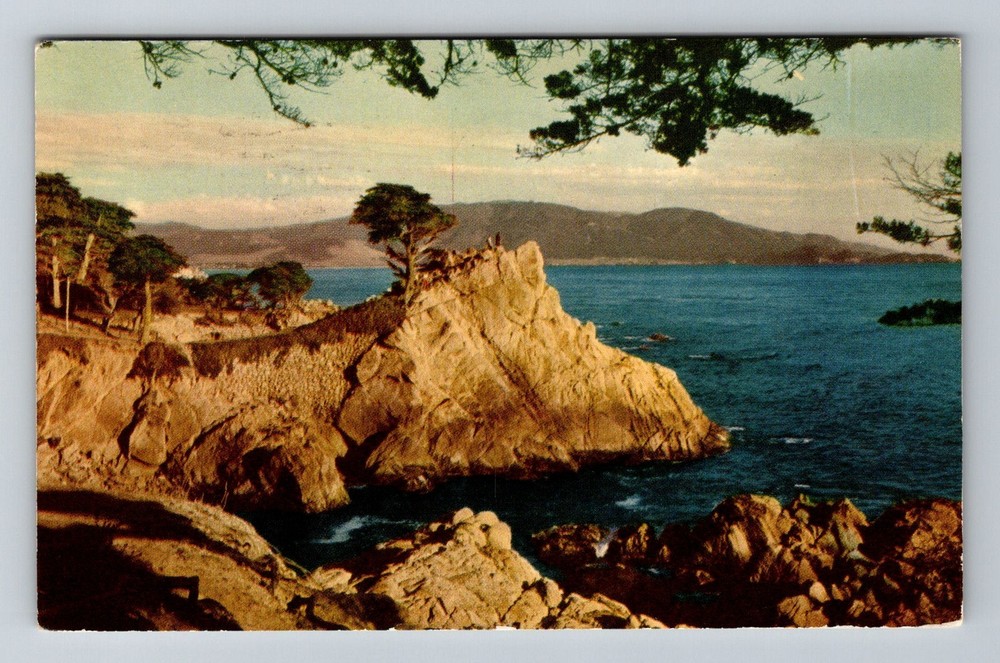 Monterey CA-California Midway Point 17-Mile Drive Cypress Vintage c1951 Postcard