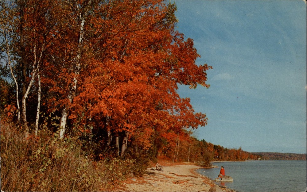 Michigan lake autumn colors ~ 1950s-60s vintage postcard sku919