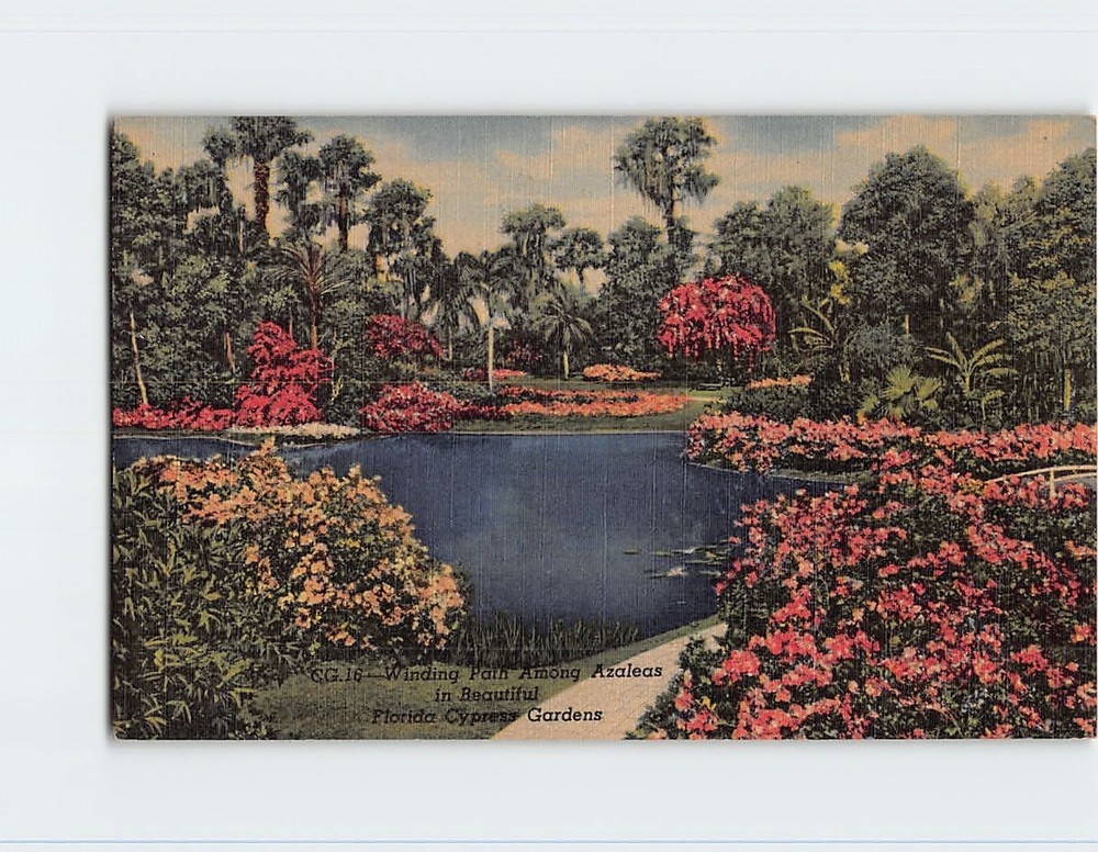 Postcard Winding Path Azalea Time Florida Cypress Gardens USA North America