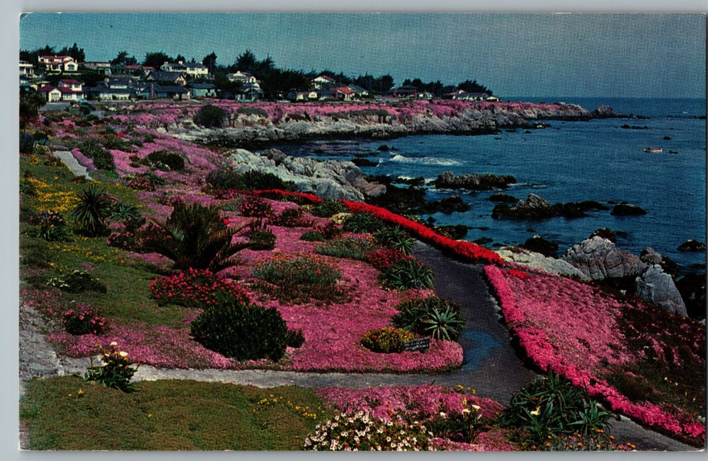 California Pacific Grove Monterey Peninsula Lover's Point Chrome Postcard