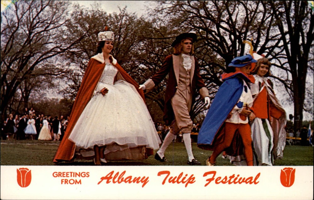 New York Albany Greetings Tulip Festival ~ 1950s-60s vintage postcard sku867
