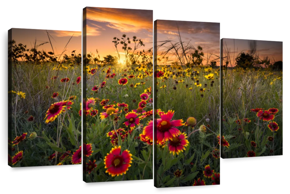 Dawn At Flower Field Wall Art