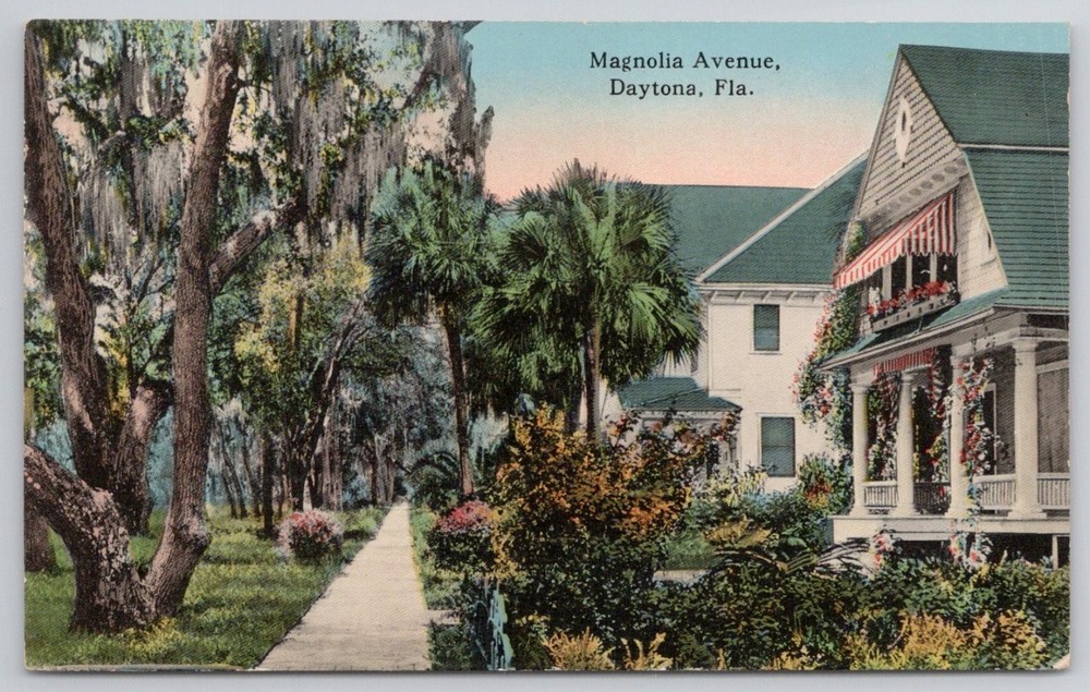 Magnolia Avenue Daytona FL Florida Spanish Moss Palm Trees Vintage Postcard