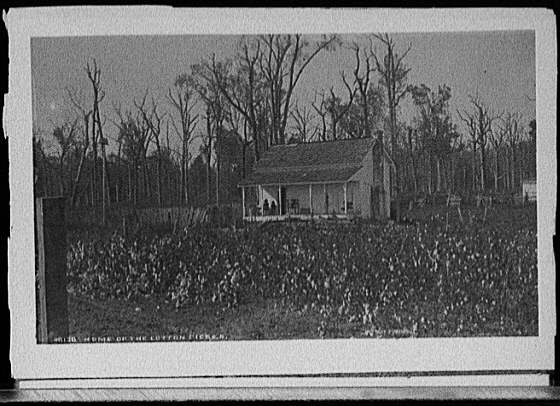 Photo:Home of the cotton picker
