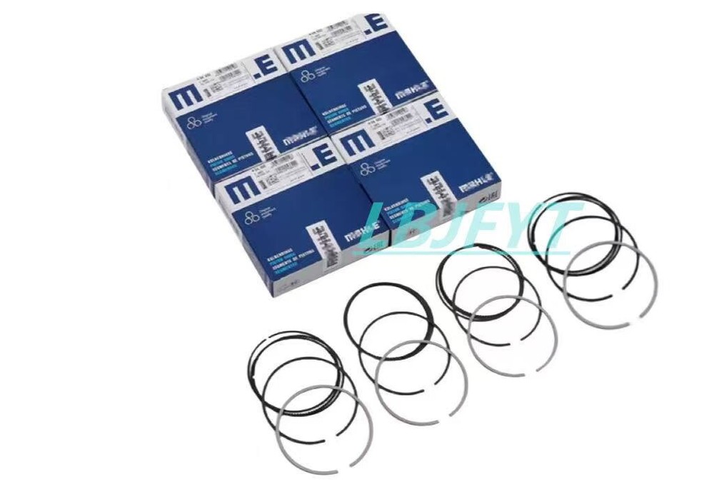 Chevrolet Aveo Aveo5 Daewoo Lanos 1.6L DOHC A16 Piston Rings
