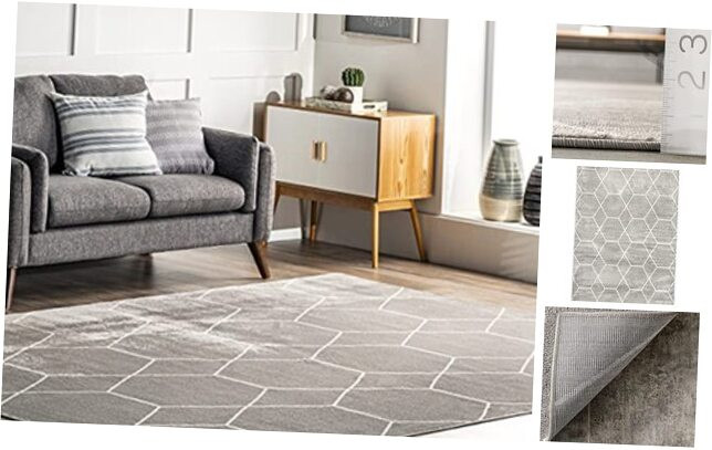 Geometric Honeycomb 3x5 Grey Accent Rug - Veronica Collection  