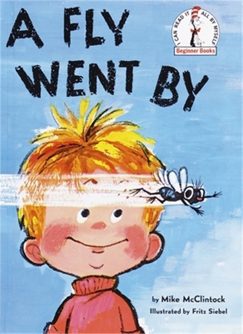 A Fly Went by (Hardback or Cased Book)