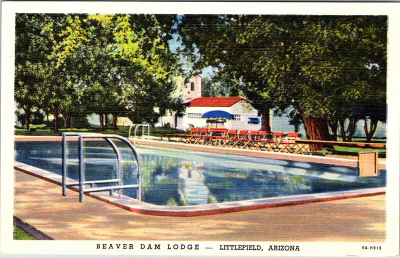 Postcard SWIMMING POOL SCENE Littlefield Arizona AZ m/09 AL7606