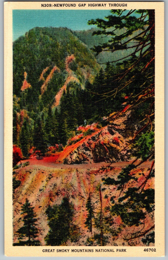 NC Great Smoky Mountains National Park Newfound Gap Hwy Linen Postcard