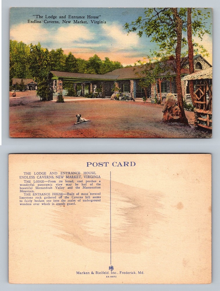 New Market, VA-Virginia, Endless Caverns Lodge Scene View Vintage Postcard