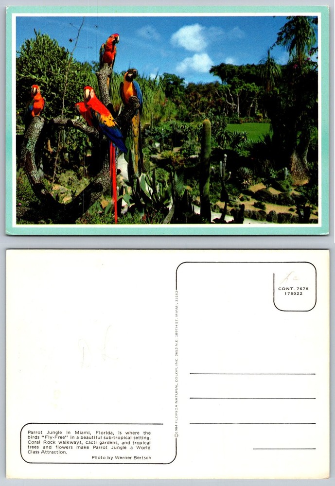 1984 Parrot Jungle Miami Florida Macaw Tropical Birds Vintage Postcard Werner