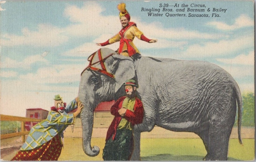 Ringling Bros. Barnum and Bailey Circus, Clowns Sarasota FL Vintage Postcard