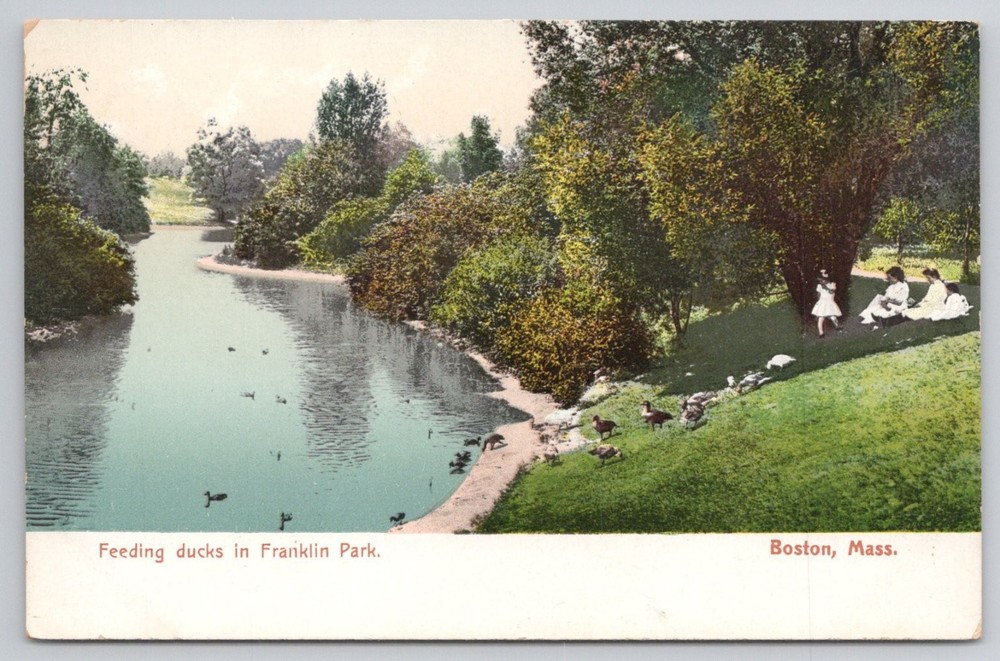 Vintage Postcard Franklin Park Boston MA Feeding Ducks New England News Co.