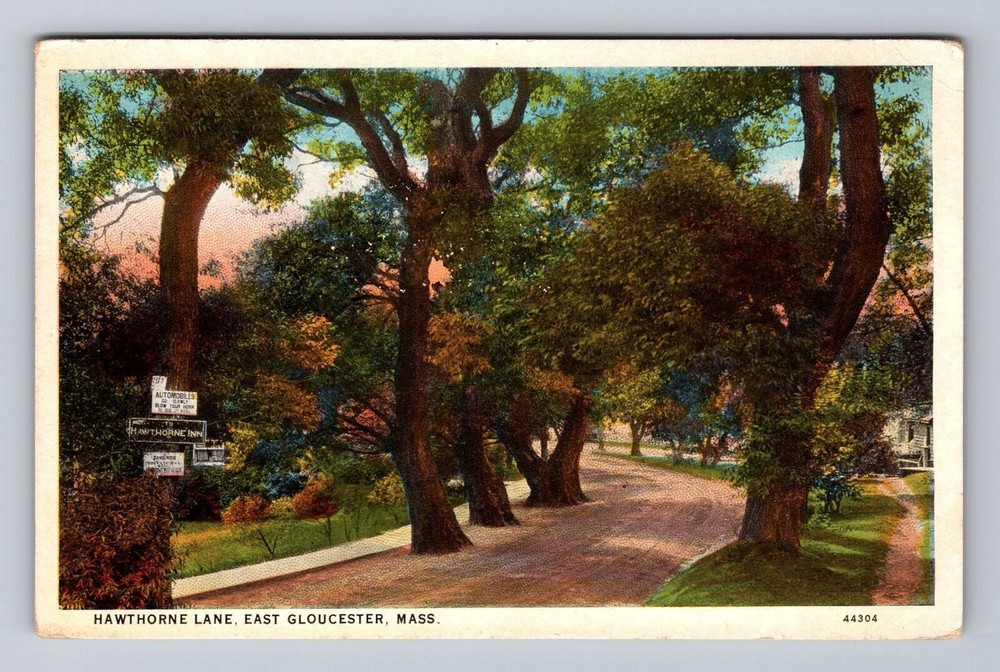 Gloucester MA-Massachusetts Hawthorne Lane Vintage Postcard Souvenir Postal Post