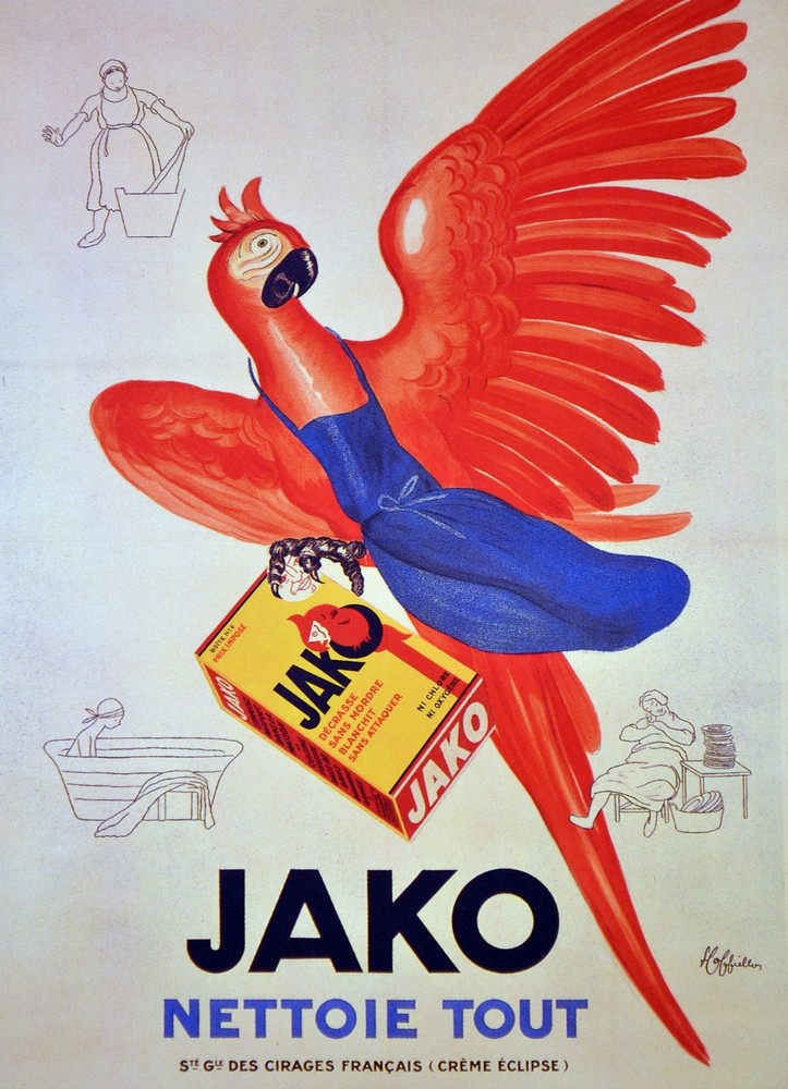Jako Nettoie Tout Ad Decor Poster.French Home Graphic interior Art Design.3886