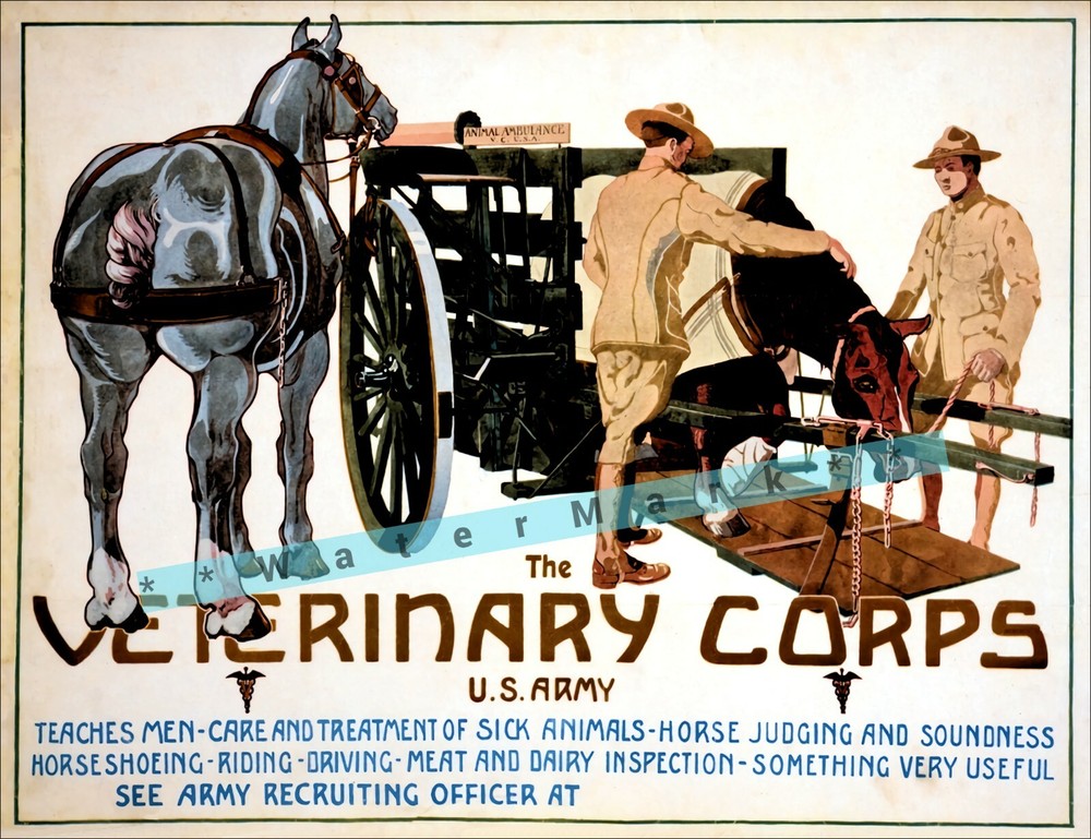 WW1 US Army Veterinary Corps 1919 Vintage Poster Print Retro Style Décor Art