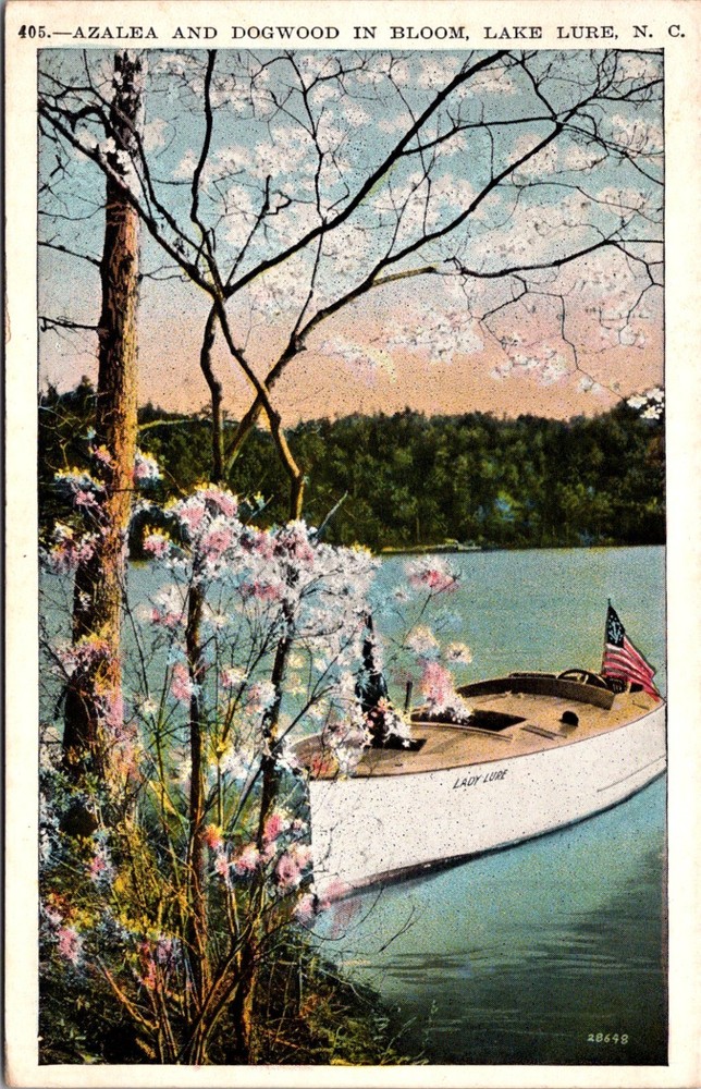 Boat Lady Lure, Azalea and Dogwood, Lake Lure NC c1938 Vintage Postcard Y63