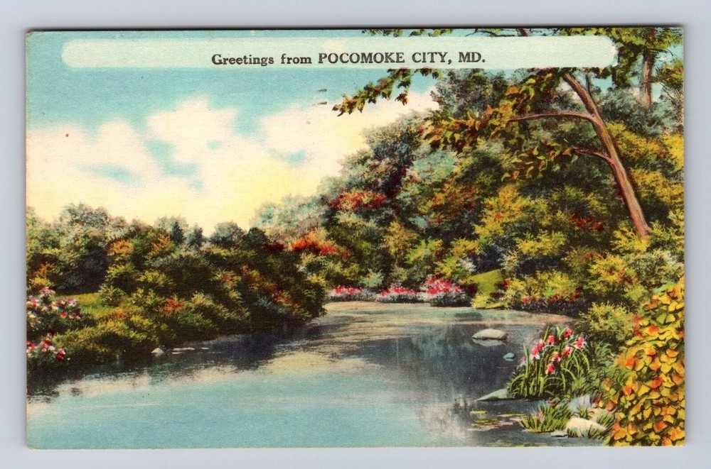 Pocomoke City MD-Maryland, Greetings, Country River, Vintage Postcard