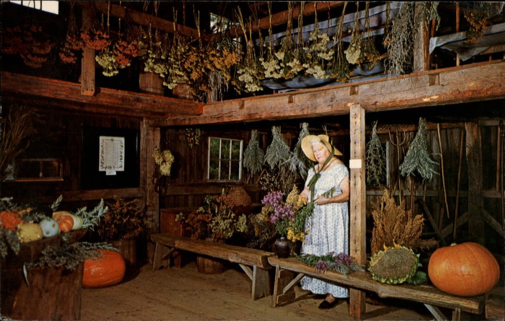 Old Sturbridge Village Massachusetts Herb Barn  pumpkins 1972 vintage postcard