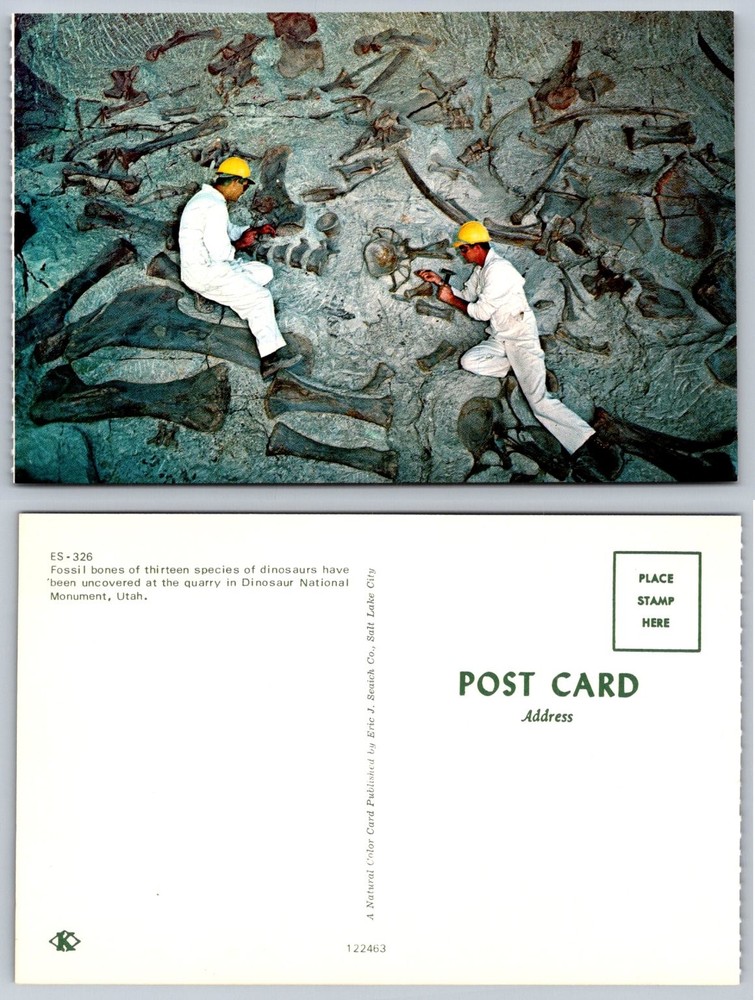 Dinosaur National Monument Utah Fossil Quarry Paleontologist Postcard