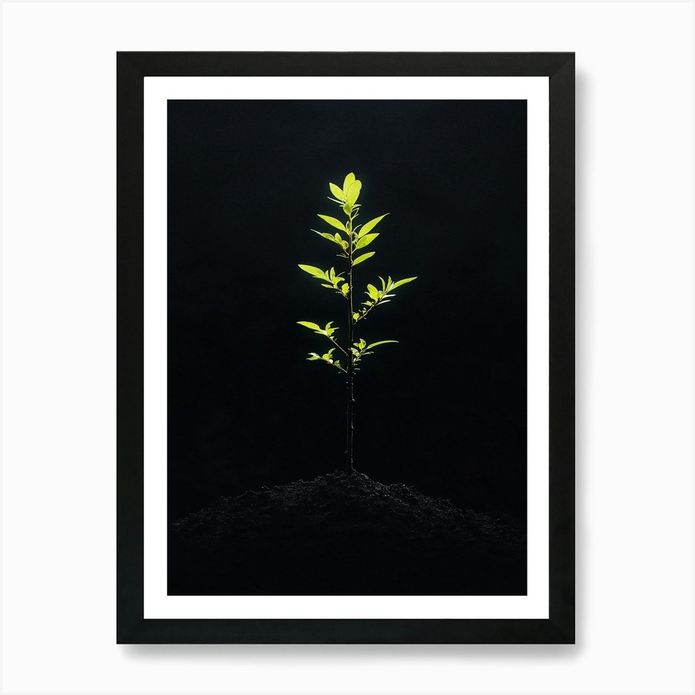 Tree in the Dark 26 Framed Art Print Canvas Wall Poster Picture  