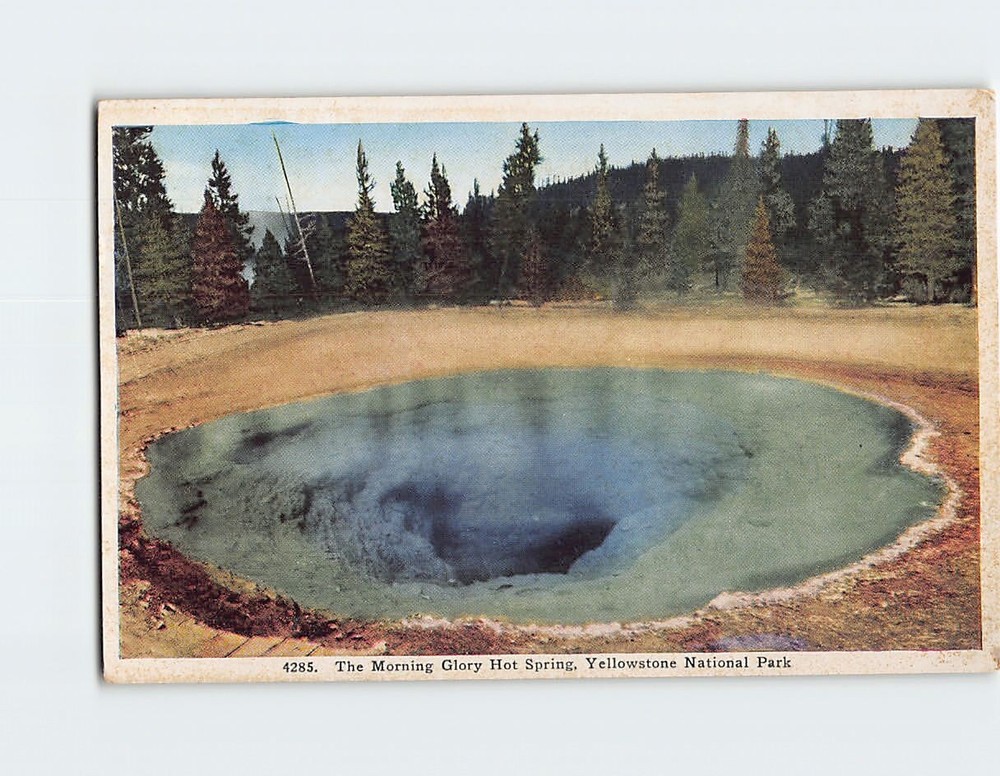 Postcard The Morning Glory Hot Spring Yellowstone National Park Wyoming USA