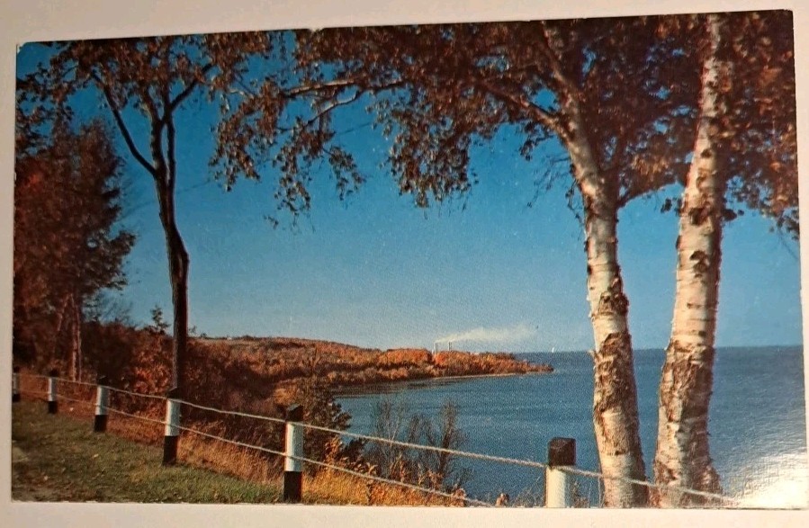 Petoskey Michigan, Grand Traverse Bay From The Road, 1950's Chrome Postcard