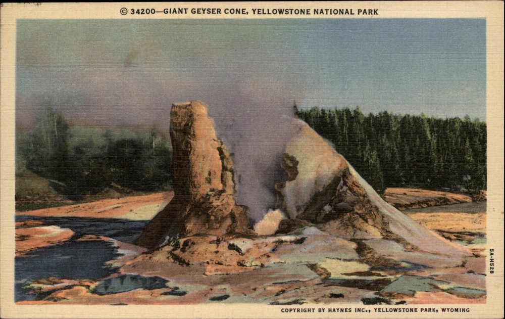 Yellowstone National Park Wyoming Giant Geyser Cone linen postcard mailed 1954