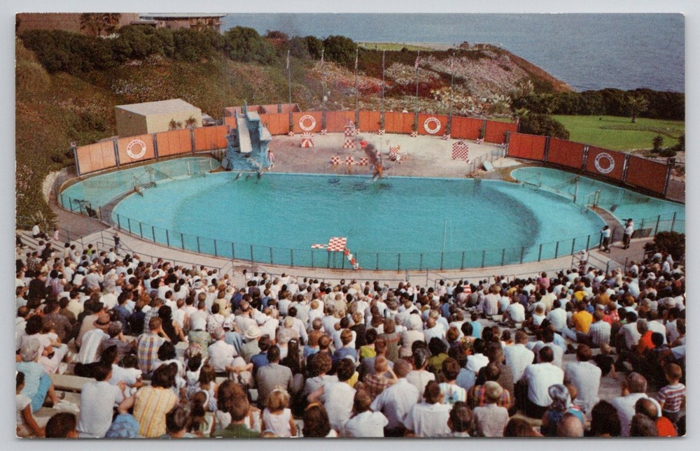 Marineland of the Pacific Sea Arena Dolphin Show Vintage Postcard