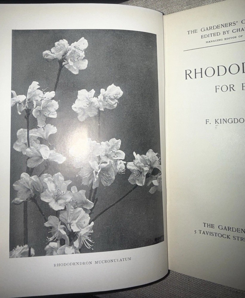 Rhododendrons for Everyone – Botany– 1926 1st Ed Antique Book + Plates