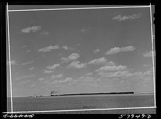 Homestead,Montana,MT,Sheridan County,Farm Security Administration,1941,FSA,1
