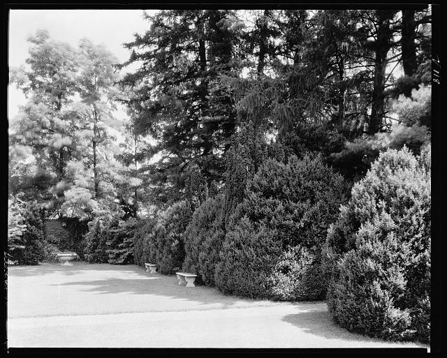 Photo:Oatlands Leesburg Virginia 1930s Garden Path Trees