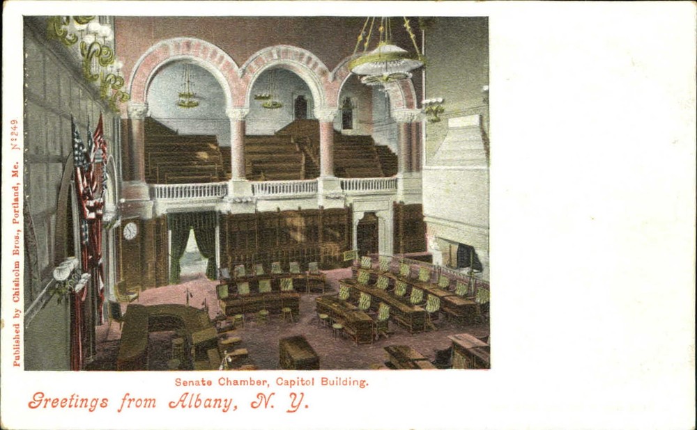 Senate Building State Capitol Building Albany New York NY UDB c1905
