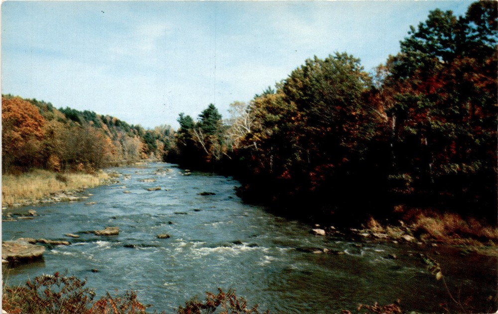 Edward Wells, Dexter Press Inc., West Nyack, N. Y. Postcard