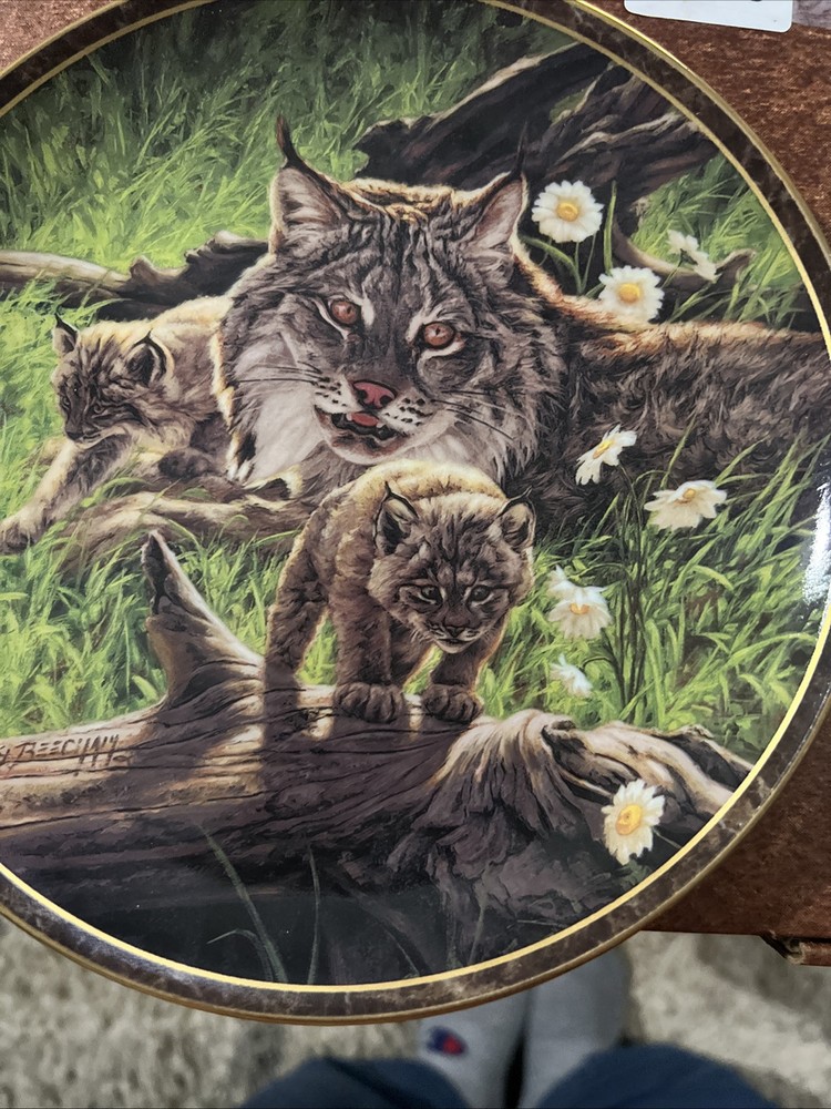 Vintage 1996 Bradford Exchange Lynx Cat Plate Natures Caress Reassuring Gaze