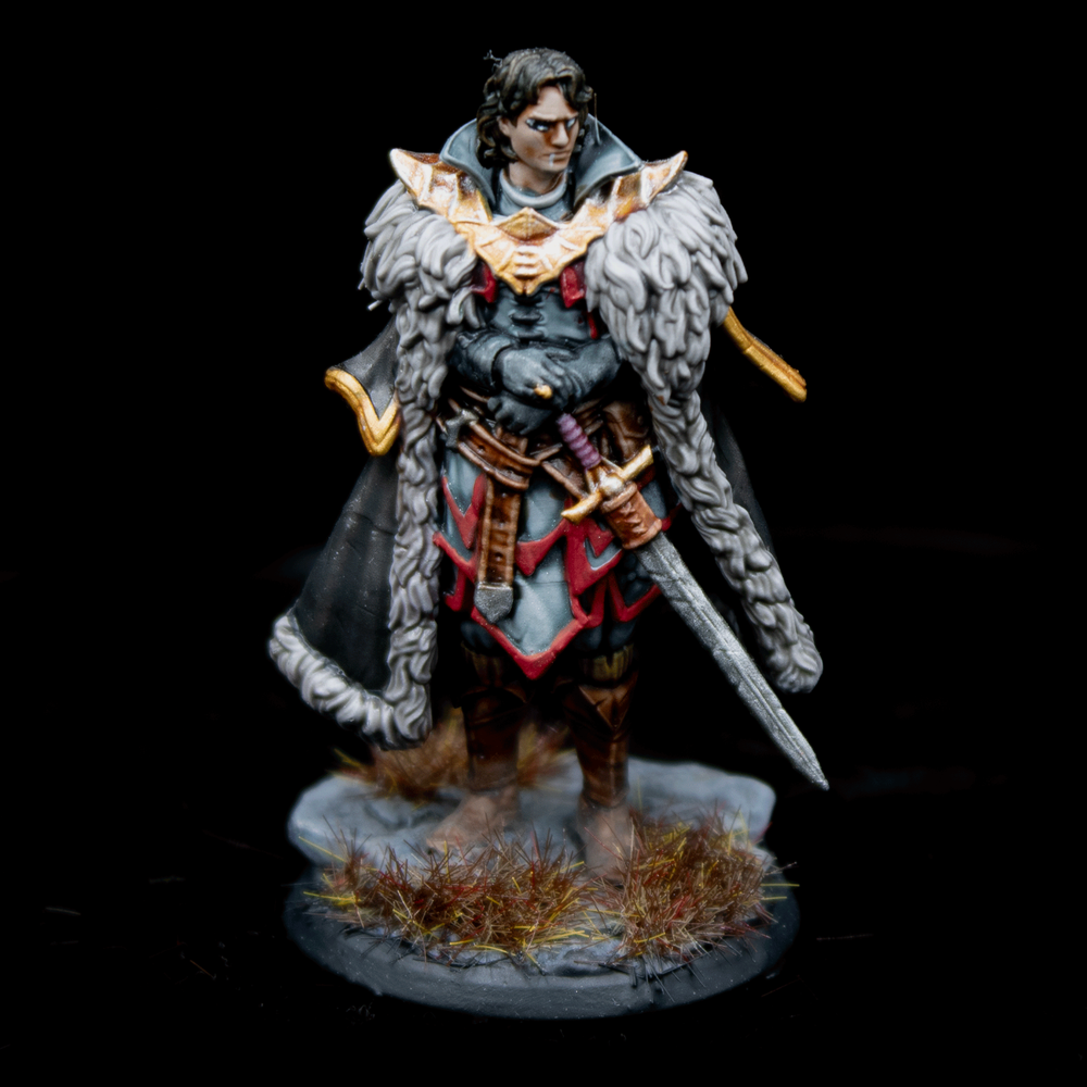 Dungeon & Dragons Kingdom Death 28mm Painted Figure Human Fighter Hero lvl100