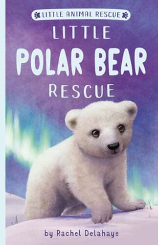 Little Polar Bear Rescue by Rachel Delahaye: Used