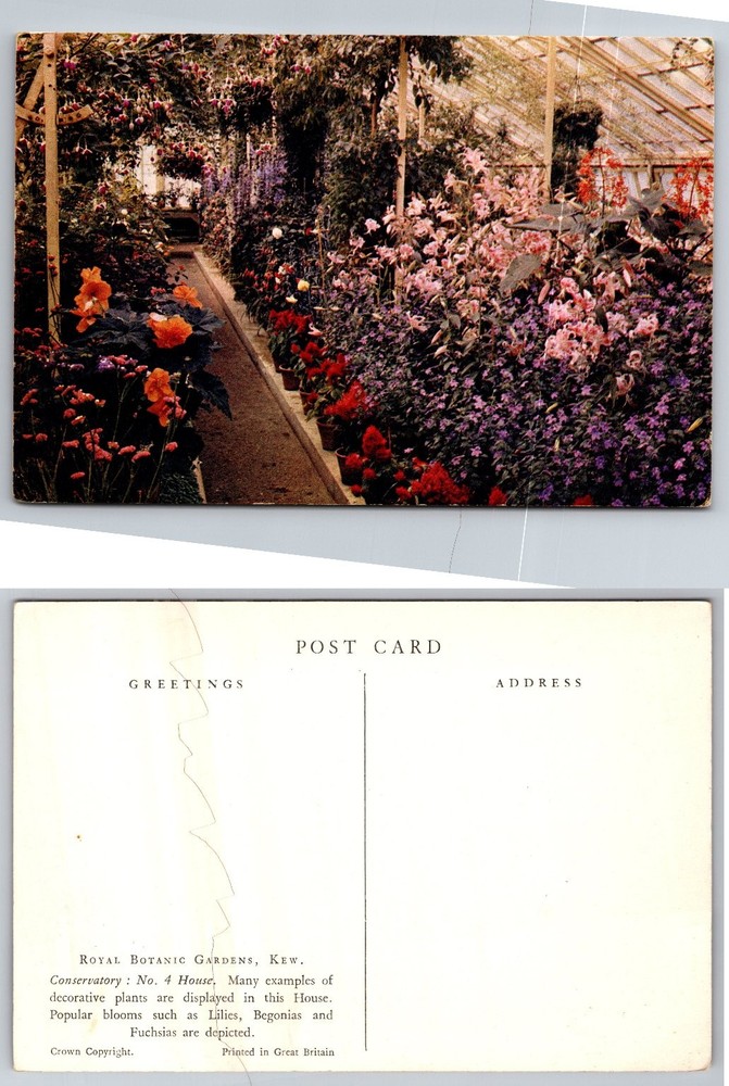 Vintage Royal Botanic Gardens Kew Conservatory No. 4 House Postcard