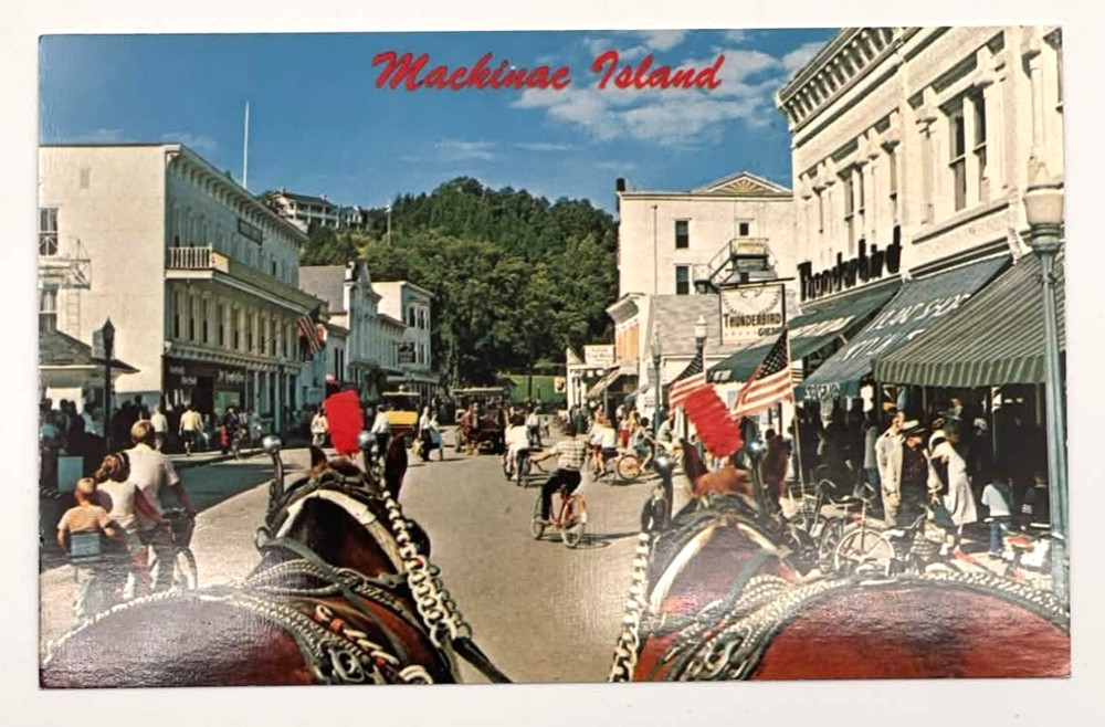 Mackinac Island Horse Carriage Street Scene Postcard