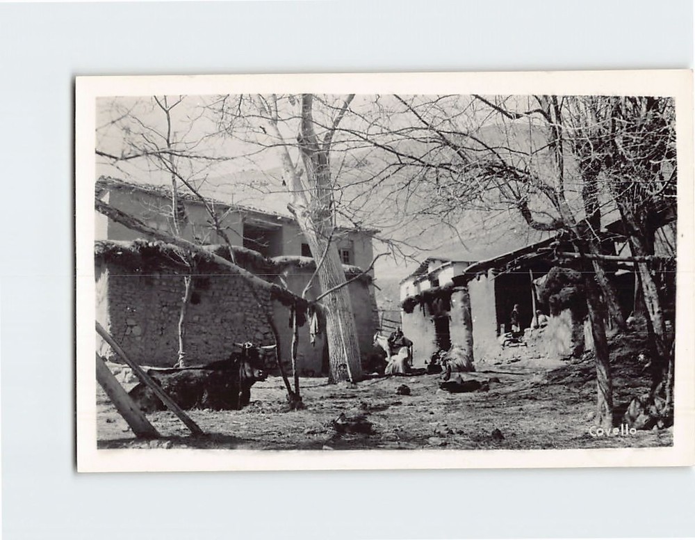 Postcard Village Scene Persian Gulf Command Iran