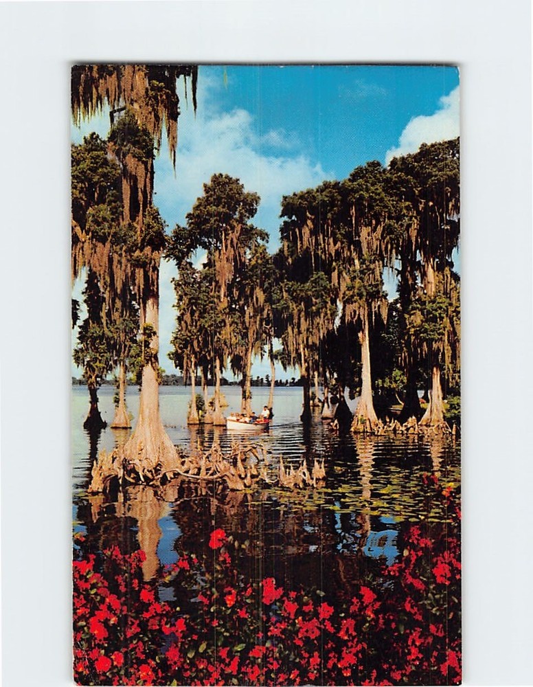 Postcard Trees Lake Eloise Cypress Gardens Florida USA North America